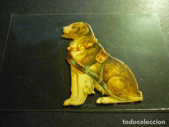 Coleccionismo cromos troquelados antiguos: PERRO ANTIGUO CROMO TROQUELADO - Foto 1