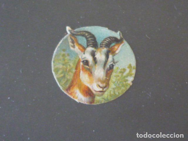 Coleccionismo cromos troquelados antiguos: CABRA ANTIGUO CROMO TROQUELADO - Foto 1
