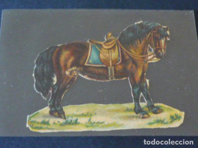 Coleccionismo cromos troquelados antiguos: CABALLO ANTIGUO CROMO TROQUELADO - Foto 1