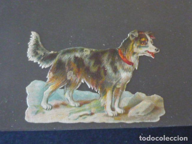 Coleccionismo cromos troquelados antiguos: PERRO ANTIGUO CROMO TROQUELADO - Foto 1
