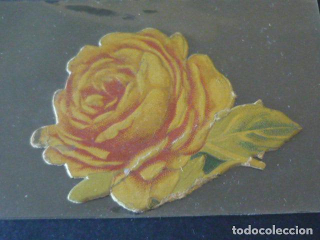 Coleccionismo cromos troquelados antiguos: ROSA ANTIGUO CROMO TROQUELADO - Foto 1