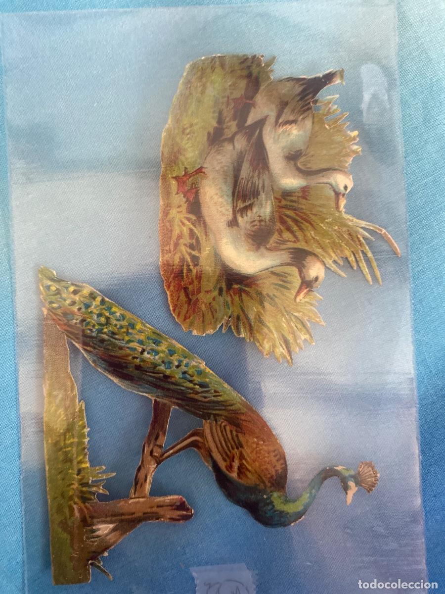 Coleccionismo cromos troquelados antiguos: Antiguo cromo de patos - Foto 3