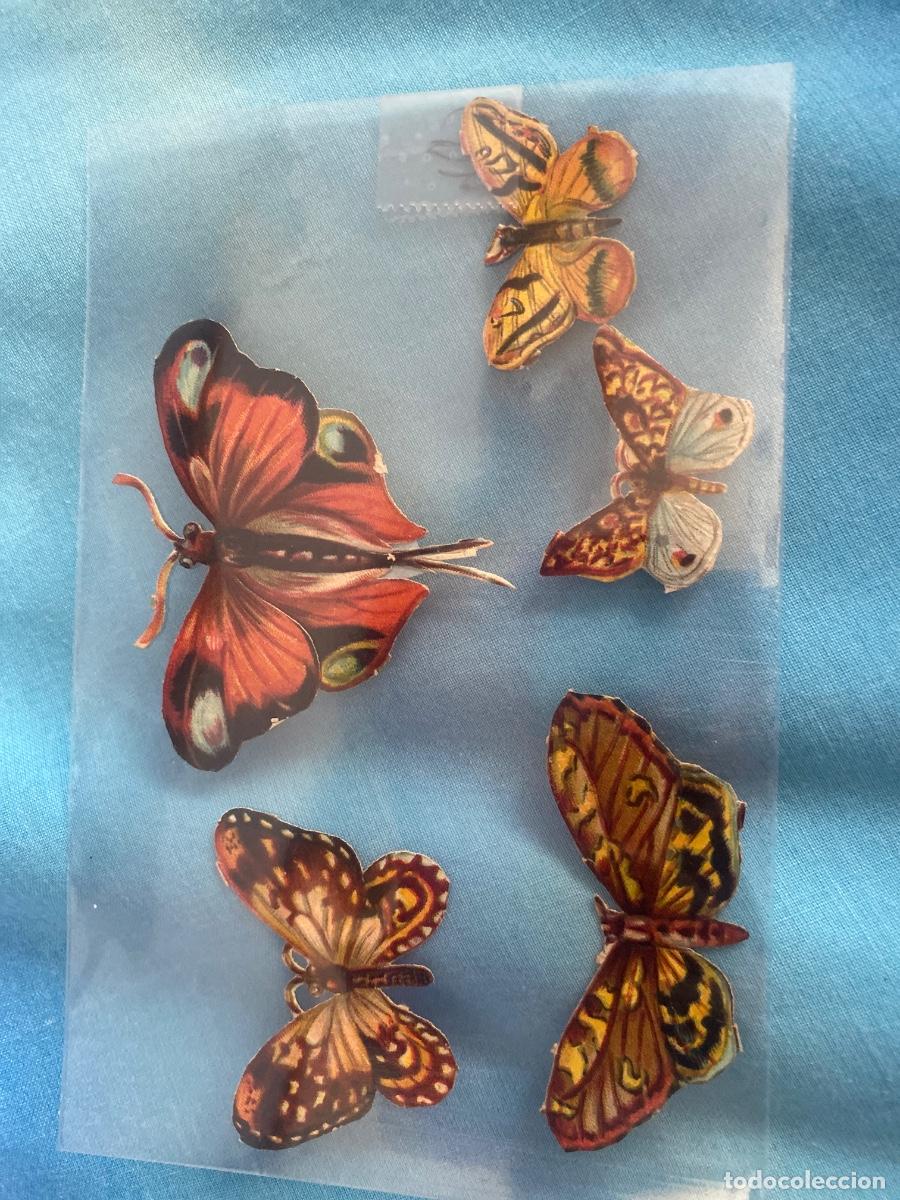 Coleccionismo cromos troquelados antiguos: Antiguos cromos mariposas (5 total) - Foto 1