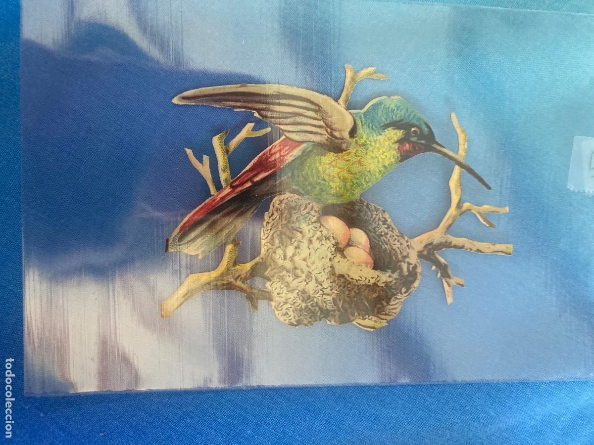 Coleccionismo cromos troquelados antiguos: Antiguo cromo pajaro - Foto 1