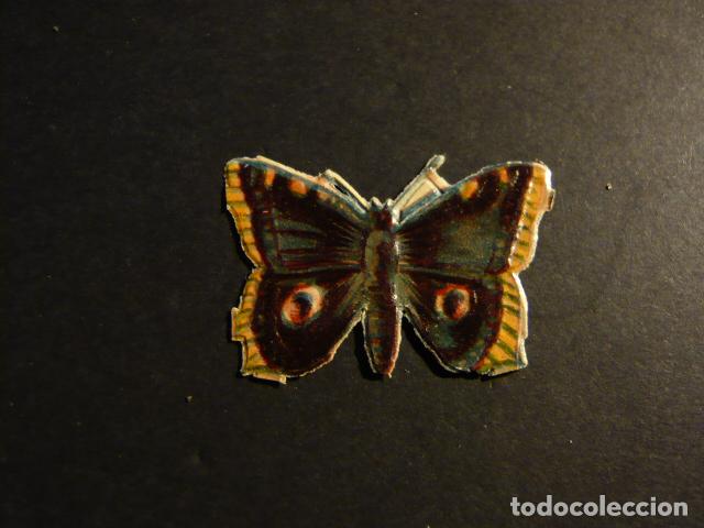 Coleccionismo cromos troquelados antiguos: MARIPOSA CROMO TROQUELADO - Foto 1