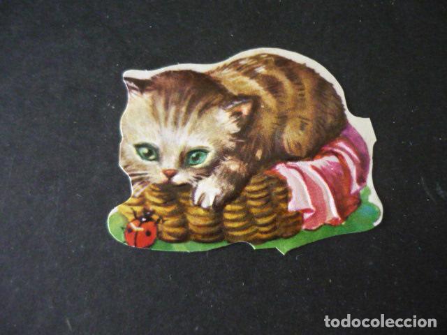 Coleccionismo Cromos troquelados antiguos: CROMO TROQUELADO O DE PICAR GATO