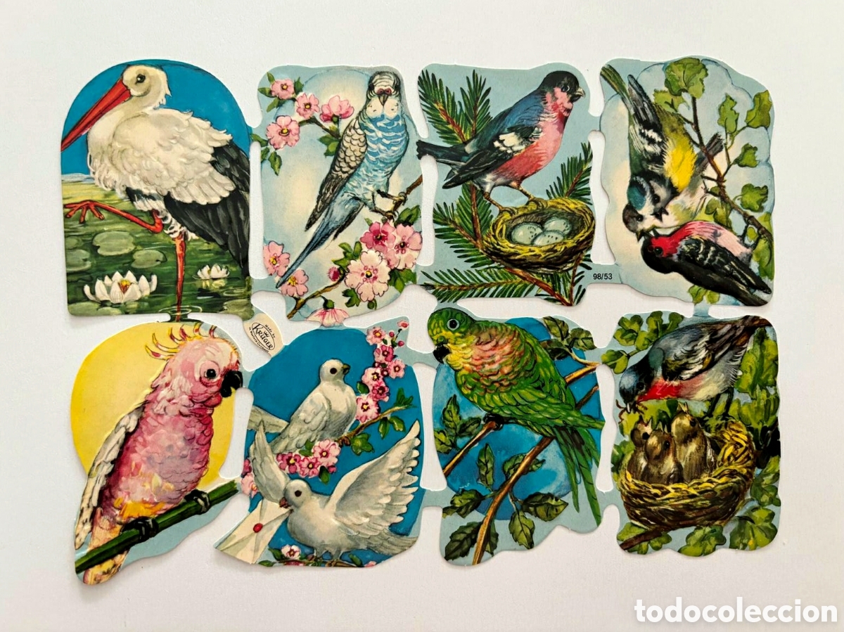 Coleccionismo Cromos troquelados antiguos: L&aacute;mina muy antigua CROMOS TROQUELADOS alemanes KRUGER 98/53 relieve p&aacute;jaros NUEVA colecci&oacute;n infantil