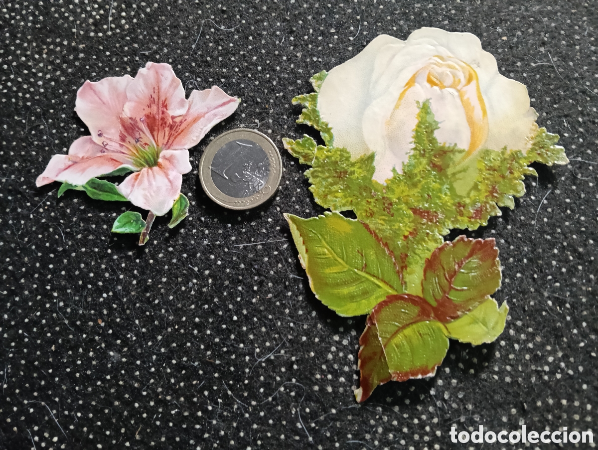 Coleccionismo Cromos troquelados antiguos: Dos cromos troquelados de flores
