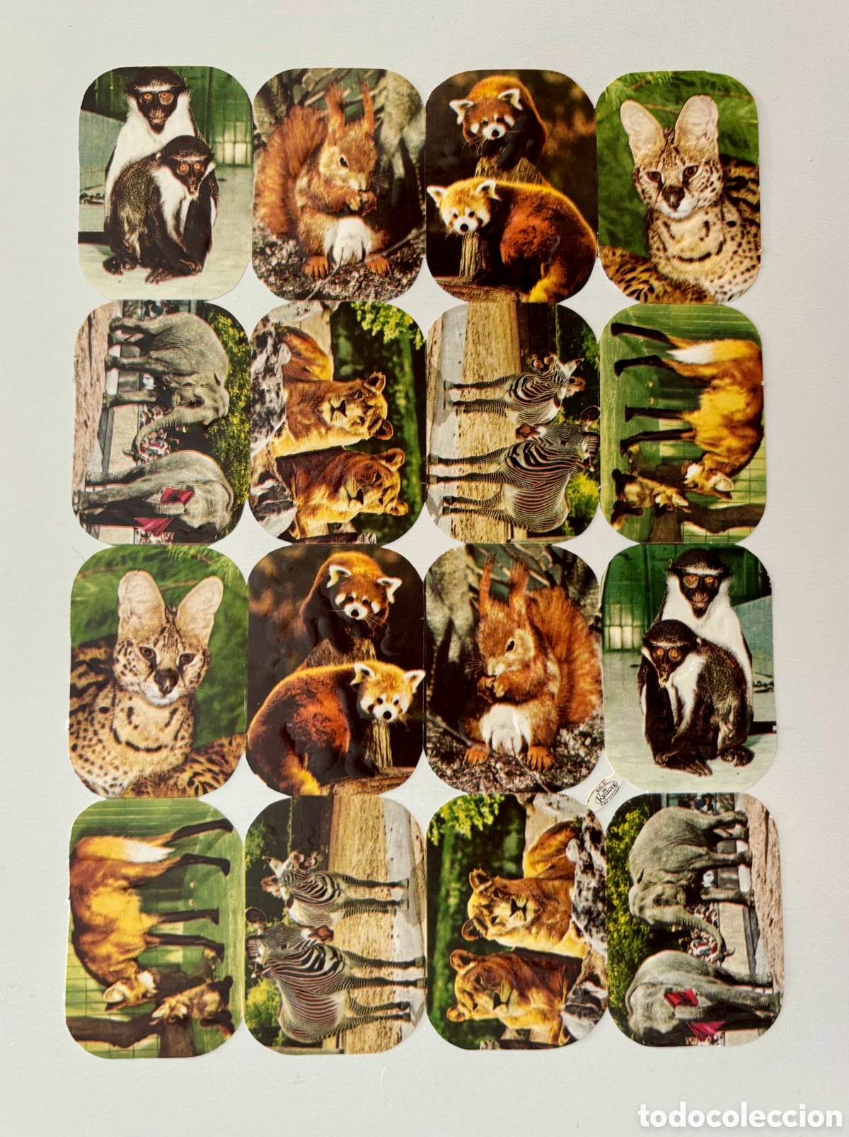 Coleccionismo Cromos troquelados antiguos: L&aacute;mina CROMOS TROQUELADOS alemanes KRUGER animales NUEVA colecci&oacute;n ni&ntilde;os antigua infantil san