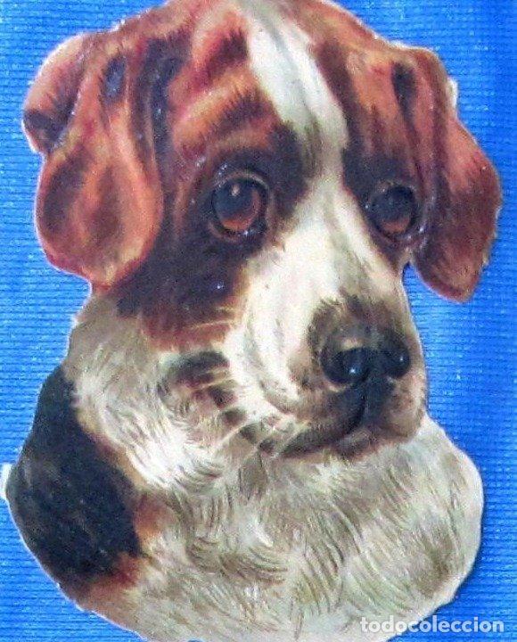 Coleccionismo Cromos troquelados antiguos: CROMO TROQUELADO. PERRO. CHOCOLATE AMATLLER. FINALES SIGLO XIX.