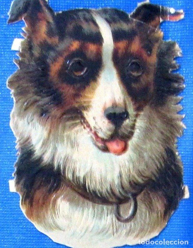 Coleccionismo Cromos troquelados antiguos: CROMO TROQUELADO. CABEZA Y PECHO DE PERRO. CHOCOLATE E. JUNCOSA, BARCELONA. FINALES DEL SIGLO XIX.