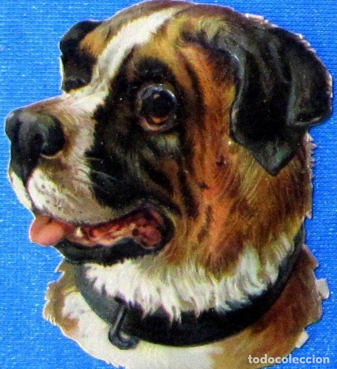 Coleccionismo Cromos troquelados antiguos: CROMO TROQUELADO. PERRO. CHOCOLATE AMATLLER. FINALES SIGLO XIX.