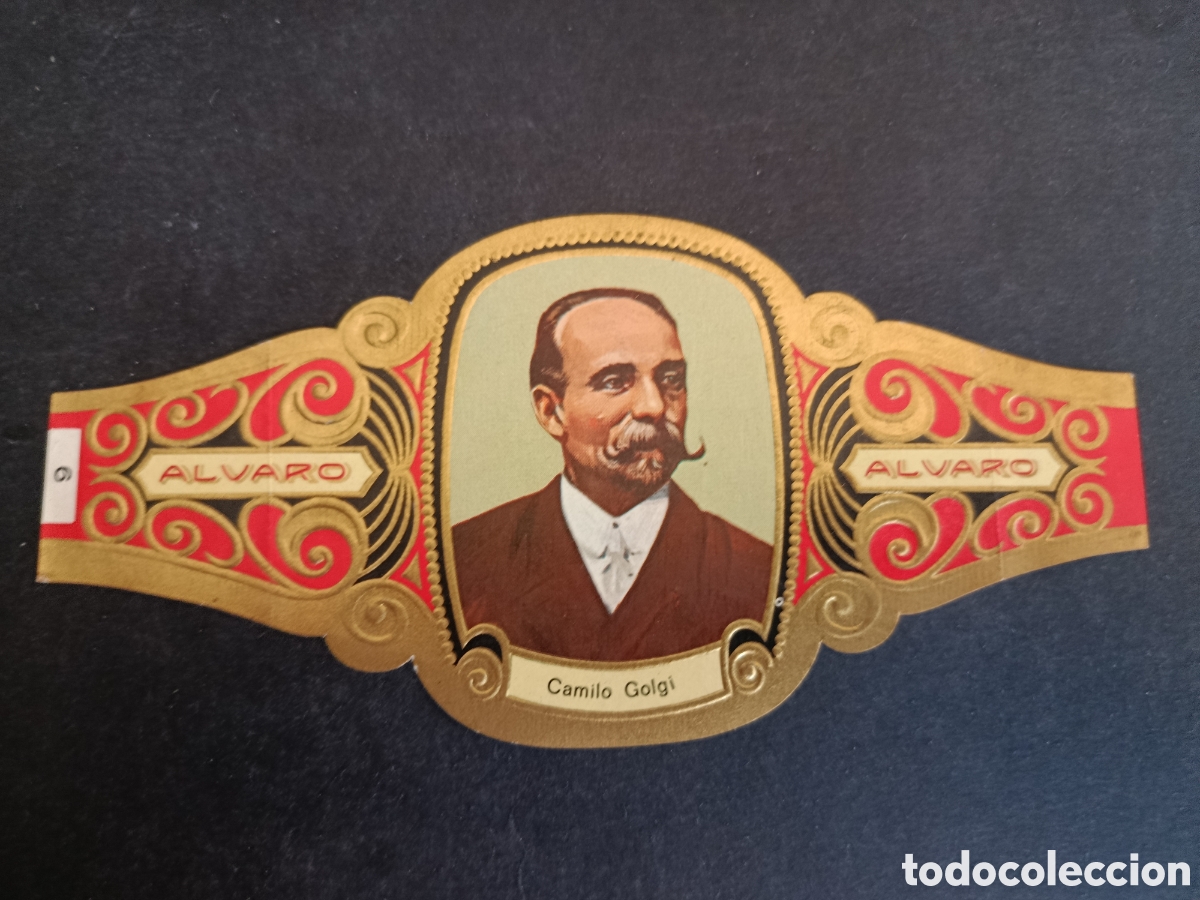 Coleccionismo Cromos troquelados antiguos: VITOLA GRANDE SERIE PREMIOS NOBEL. &Aacute;LVARO.