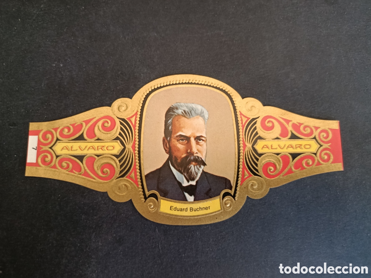 Coleccionismo Cromos troquelados antiguos: VITOLA GRANDE SERIE PREMIOS NOBEL. &Aacute;LVARO.