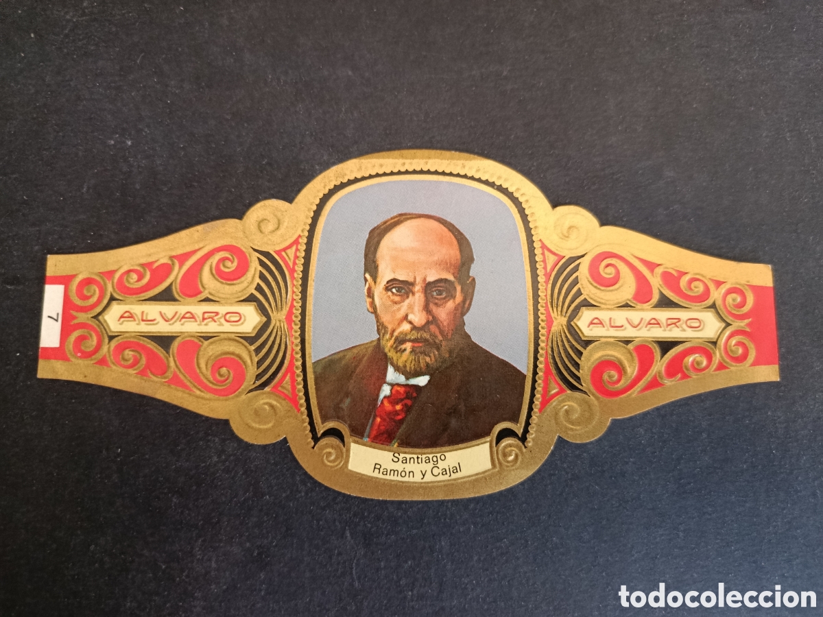 Coleccionismo Cromos troquelados antiguos: VITOLA GRANDE SERIE PREMIOS NOBEL. &Aacute;LVARO.