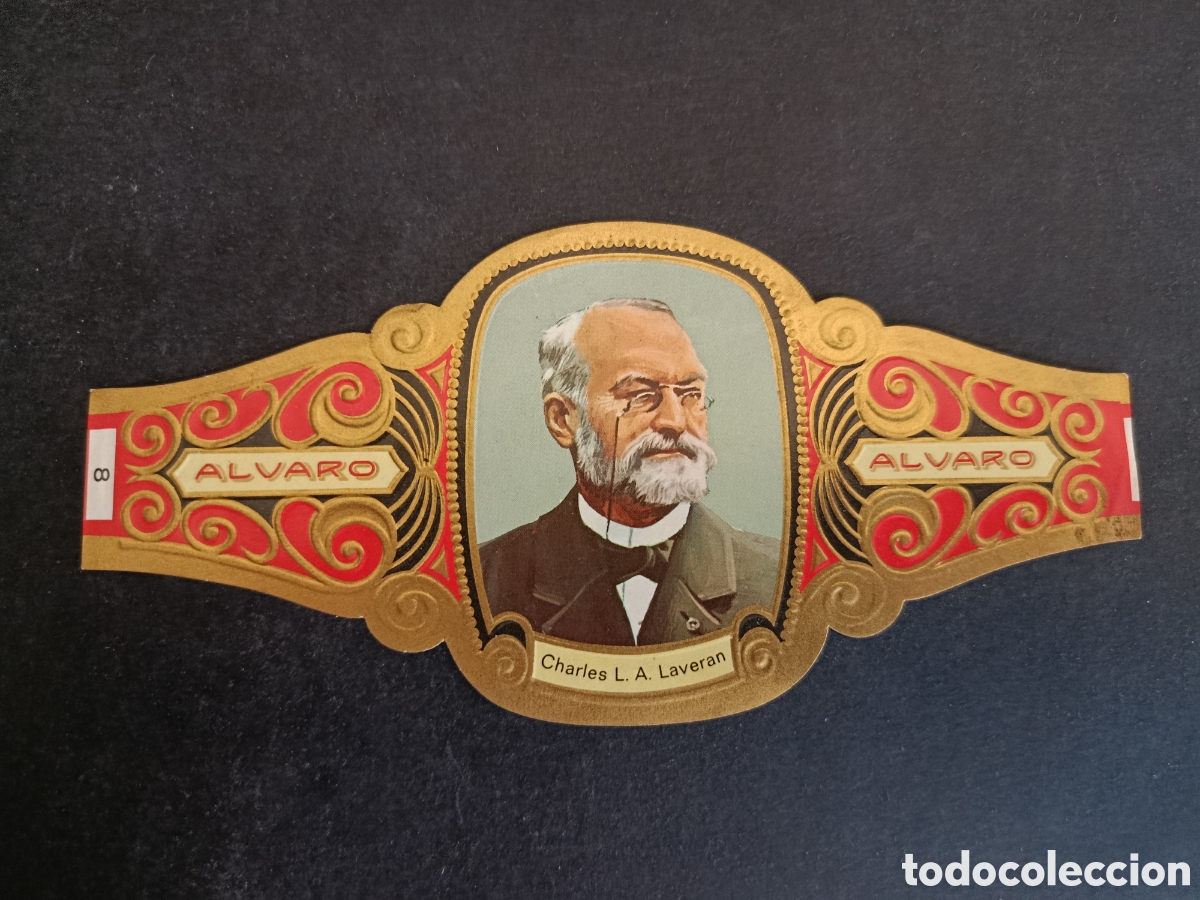 Sammeln alte gestanzte Sammelbilder: VITOLA GRANDE SERIE PREMIOS NOBEL. &Aacute;LVARO.