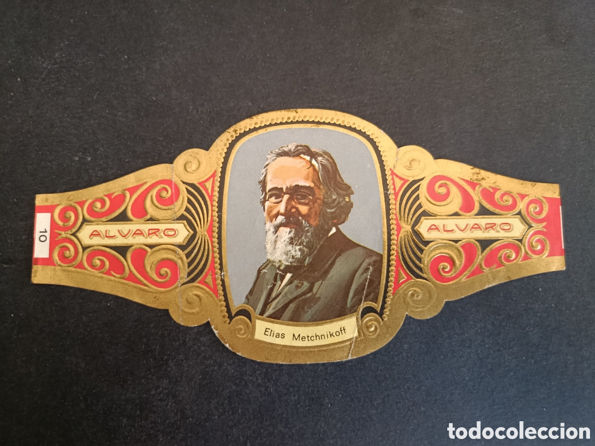 Coleccionismo Cromos troquelados antiguos: VITOLA GRANDE SERIE PREMIOS NOBEL. &Aacute;LVARO.