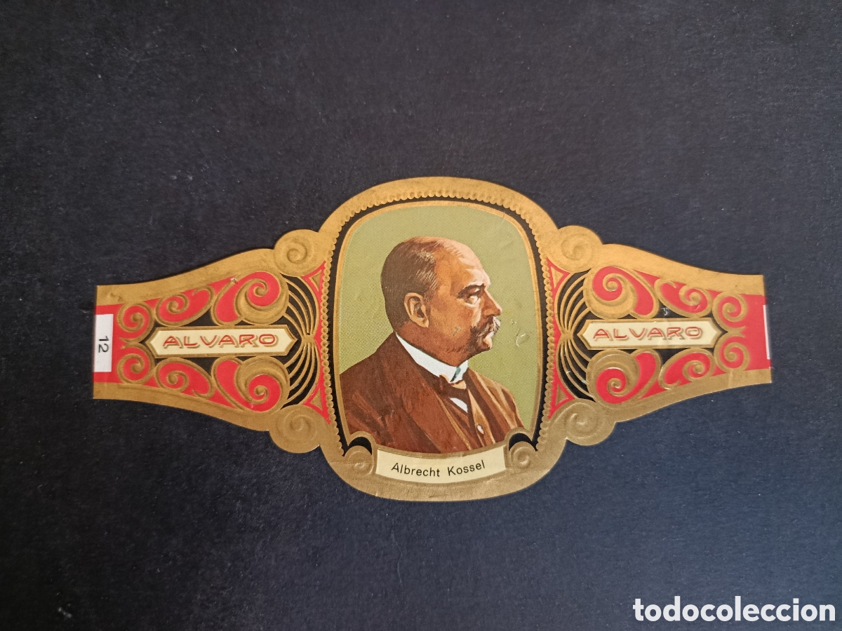 Coleccionismo Cromos troquelados antiguos: VITOLA GRANDE SERIE PREMIOS NOBEL. &Aacute;LVARO.