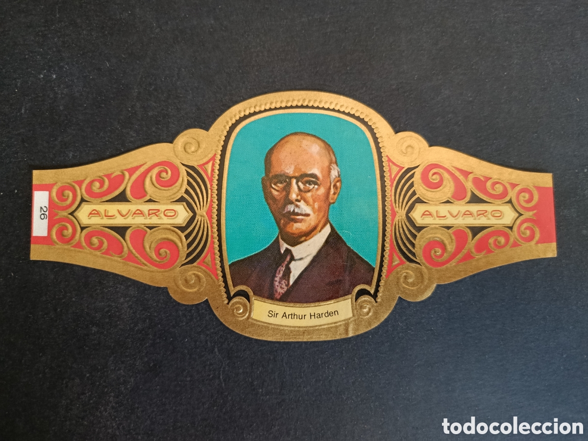 Sammeln alte gestanzte Sammelbilder: VITOLA GRANDE SERIE PREMIOS NOBEL. &Aacute;LVARO.