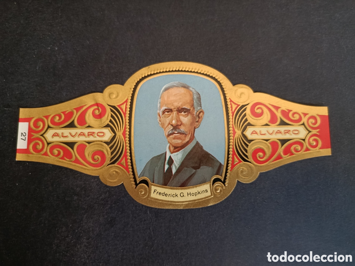 Sammeln alte gestanzte Sammelbilder: VITOLA GRANDE SERIE PREMIOS NOBEL. &Aacute;LVARO.