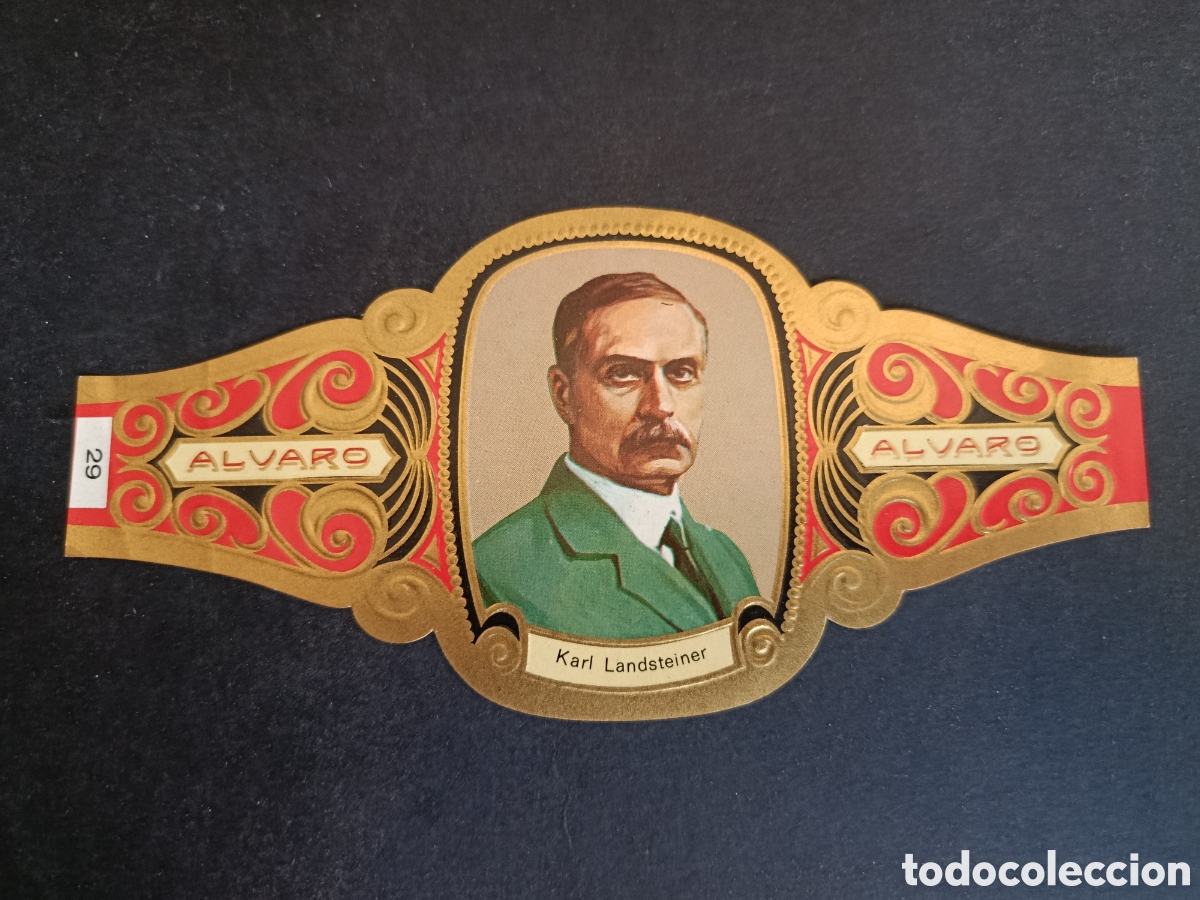 Sammeln alte gestanzte Sammelbilder: VITOLA GRANDE SERIE PREMIOS NOBEL. &Aacute;LVARO.
