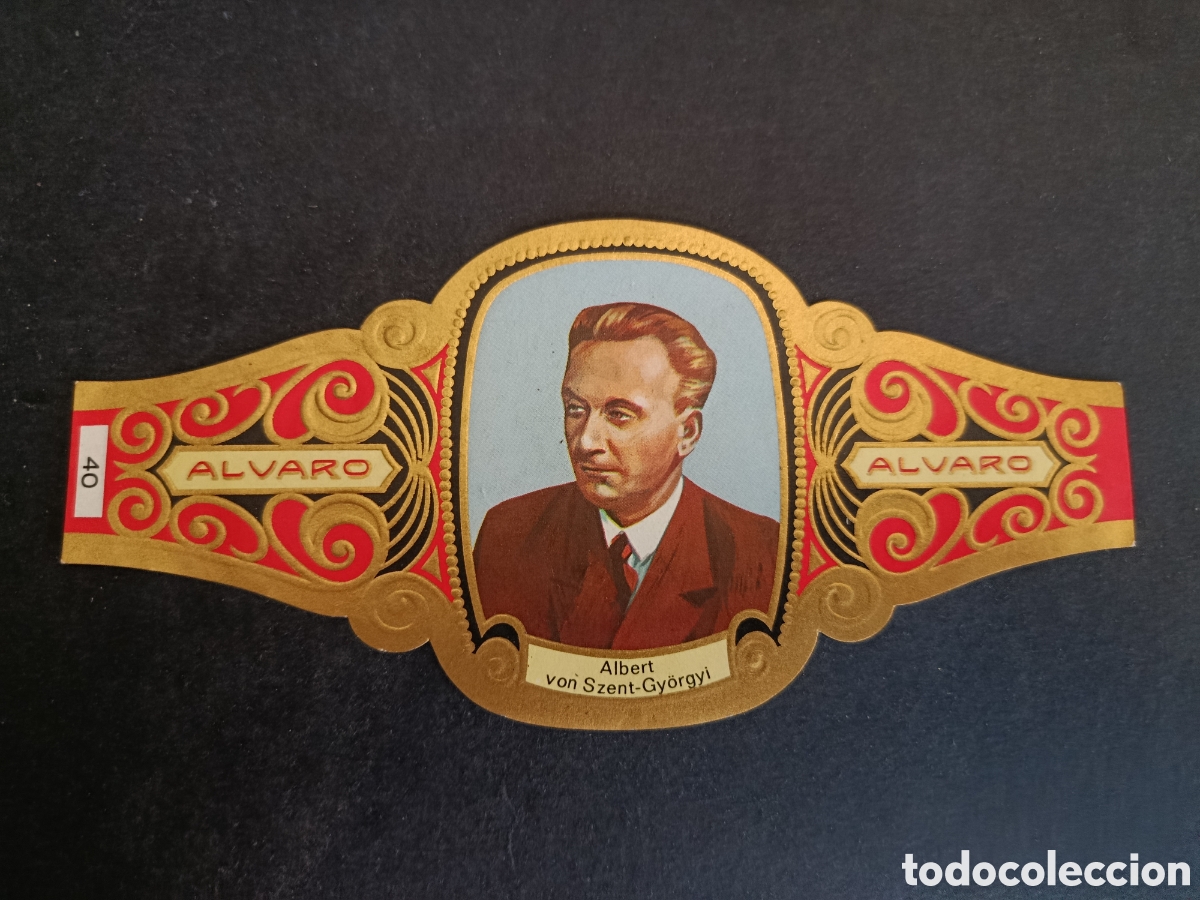 Collezionismo Figurine ritagliate antiche: VITOLA GRANDE SERIE PREMIOS NOBEL. &Aacute;LVARO.