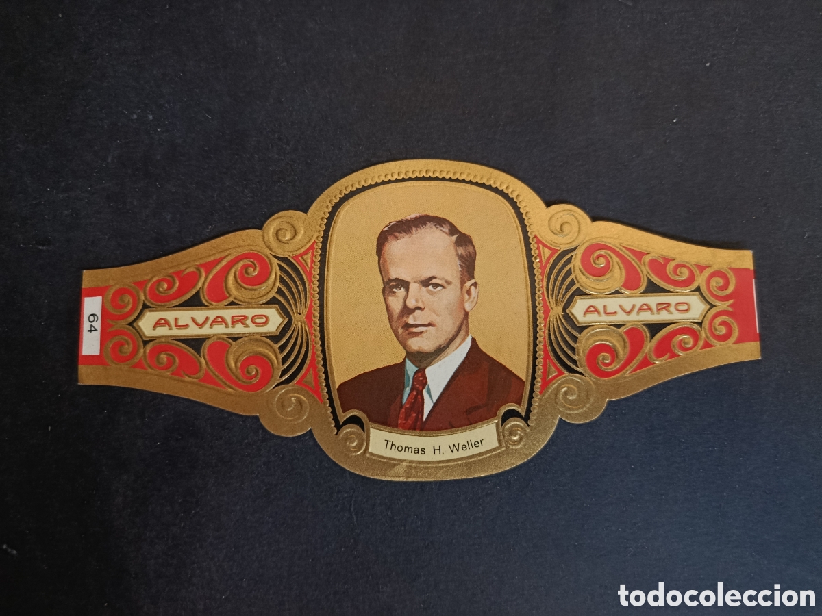 Colecionismo Cromos recortados antigos: VITOLA GRANDE SERIE PREMIOS NOBEL. &Aacute;LVARO.