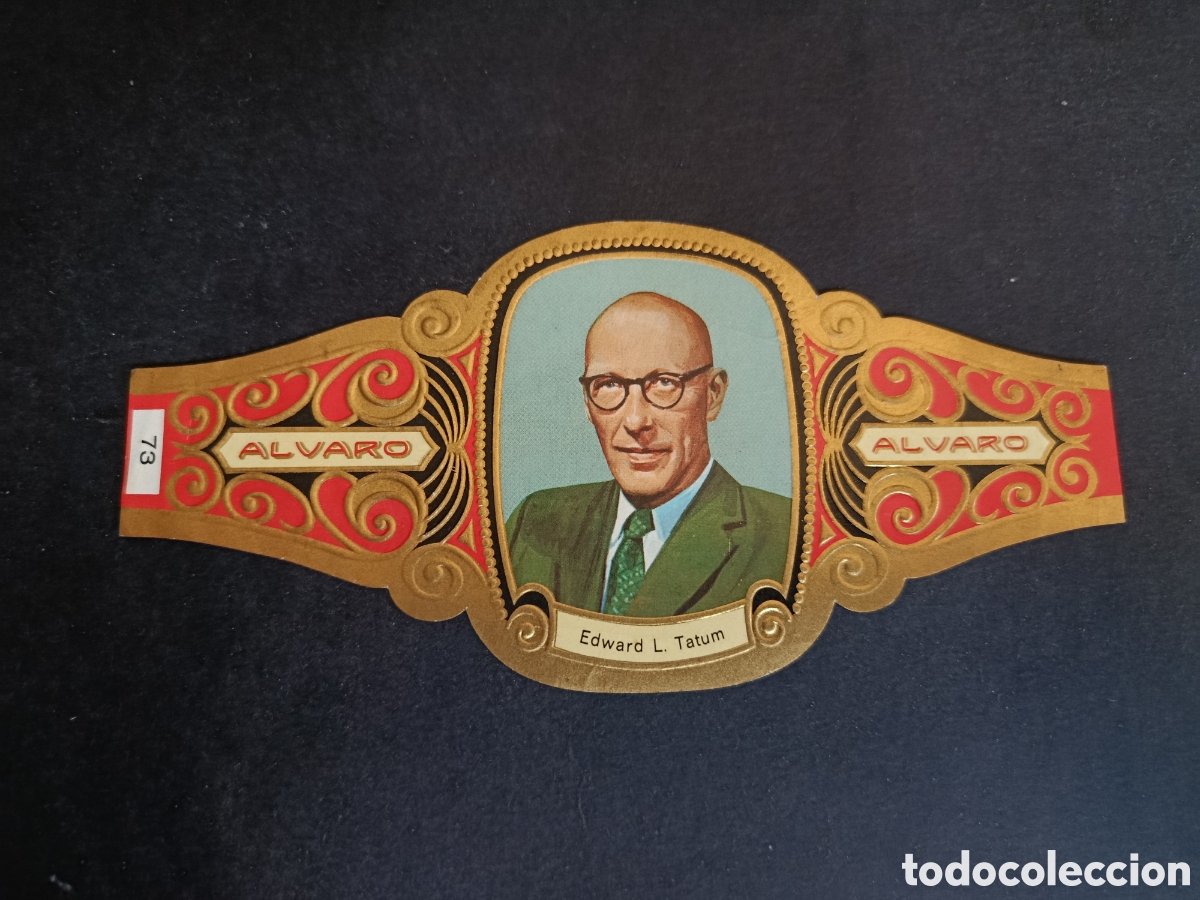 Coleccionismo Cromos troquelados antiguos: VITOLA GRANDE SERIE PREMIOS NOBEL. &Aacute;LVARO.