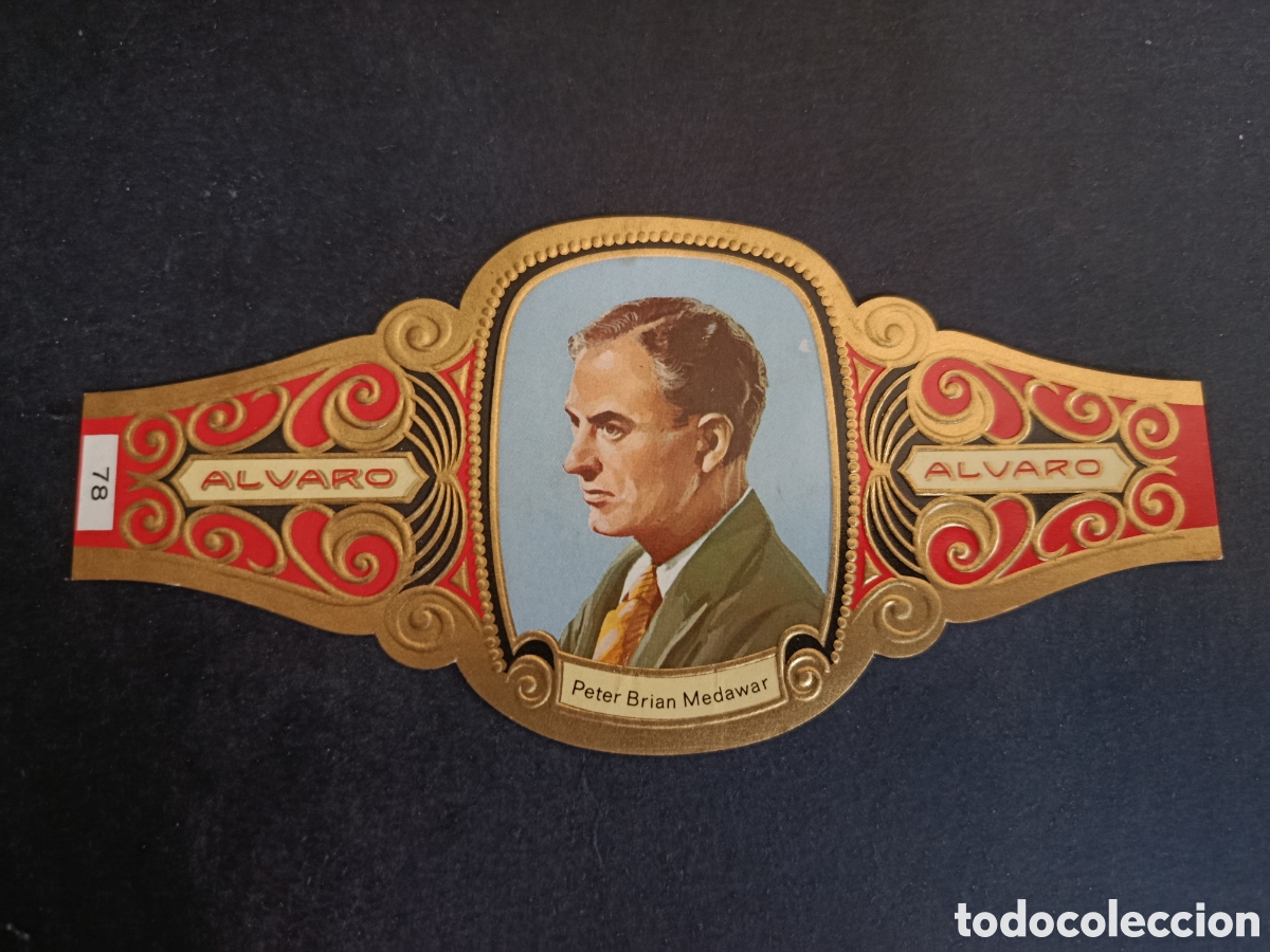 Coleccionismo Cromos troquelados antiguos: VITOLA GRANDE SERIE PREMIOS NOBEL. &Aacute;LVARO.
