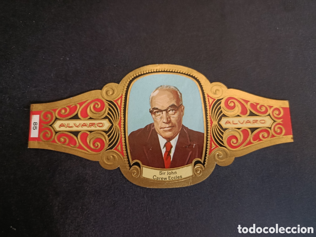 Coleccionismo Cromos troquelados antiguos: VITOLA GRANDE SERIE PREMIOS NOBEL. &Aacute;LVARO.