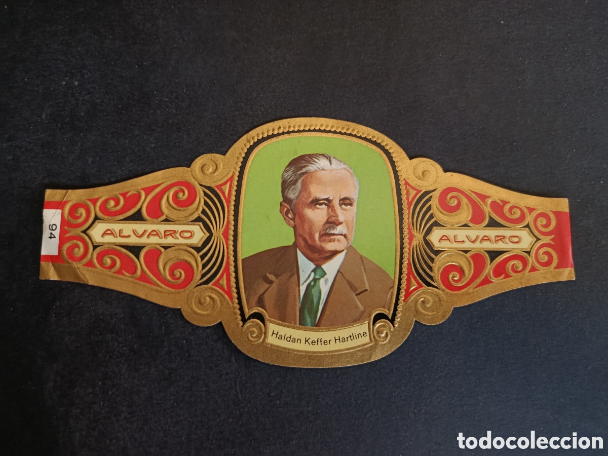 Coleccionismo Cromos troquelados antiguos: VITOLA GRANDE SERIE PREMIOS NOBEL. &Aacute;LVARO.