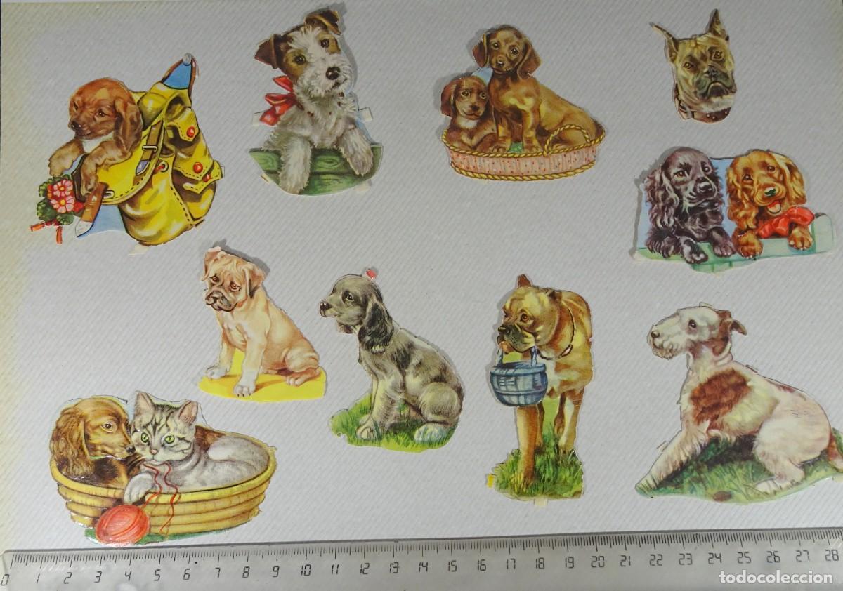 Coleccionismo Cromos troquelados antiguos: CROMOS DE PICAR TROQUELADOS, PERROS, VER FOTOS
