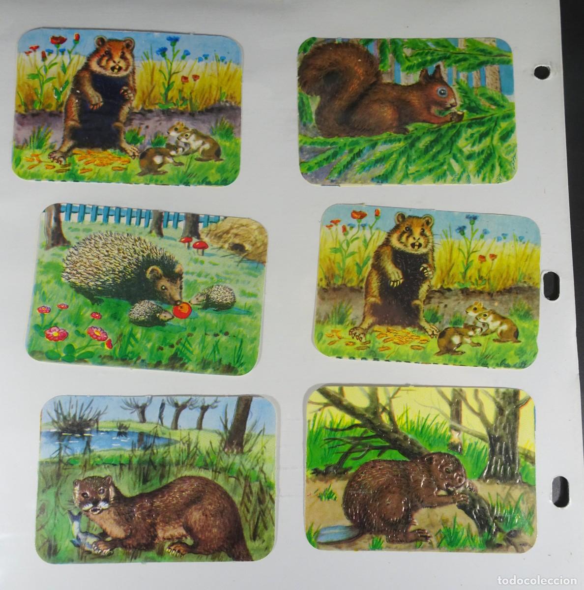 Coleccionismo Cromos troquelados antiguos: CROMOS DE PICAR TROQUELADOS, ANIMALES, VER FOTOS