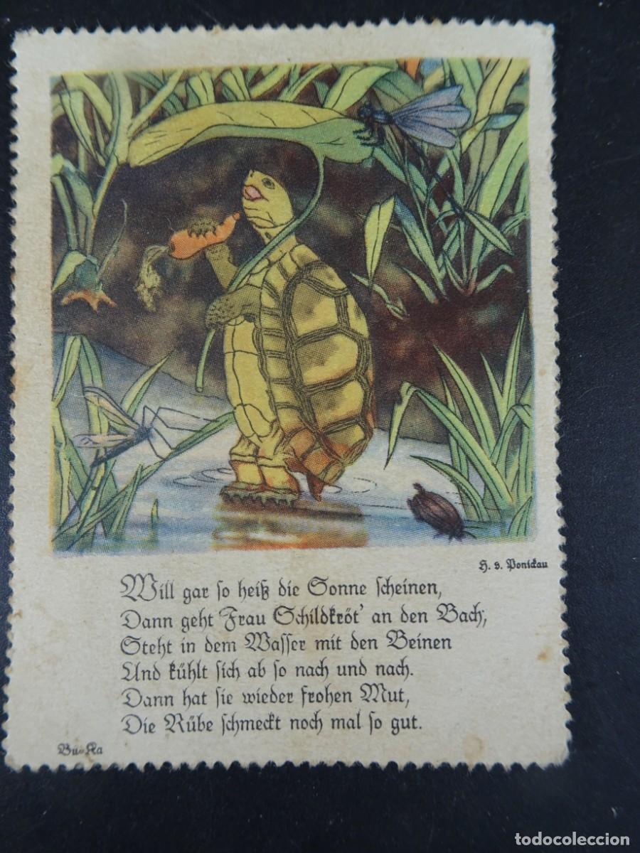 Coleccionismo Cromos troquelados antiguos: ANTIGUO CROMO TROQUELADO, TORTUGA, DESPEGADO, VER FOTOS