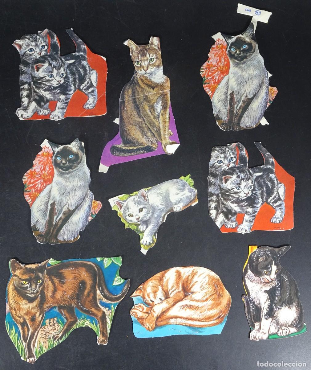 Coleccionismo Cromos troquelados antiguos: LOTE ANTIGUOS CROMOS TROQUELADOS GATOS, VER FOTOS