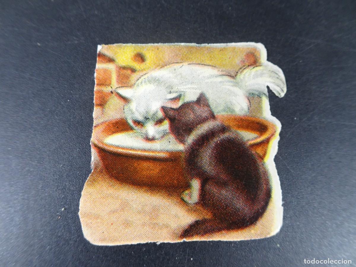 Coleccionismo Cromos troquelados antiguos: ANTIGUO CROMO TROQUELADO , VER FOTOS