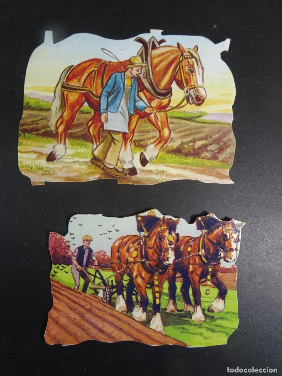 Coleccionismo Cromos troquelados antiguos: 2 ANTIGUOS CROMOS TROQUELADOS , VER FOTOS
