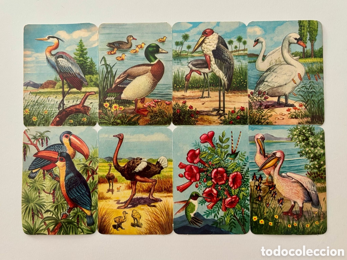 Coleccionismo Cromos troquelados antiguos: L&aacute;mina CROMOS TROQUELADOS alemanes KRUGER relieve animales NUEVA colecci&oacute;n antigua juego infantil