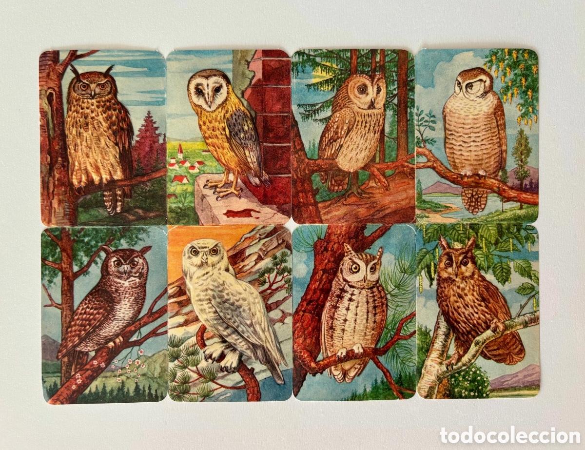 Coleccionismo Cromos troquelados antiguos: L&aacute;mina CROMOS TROQUELADOS alemanes KRUGER relieve animales NUEVA colecci&oacute;n antigua juego infantil
