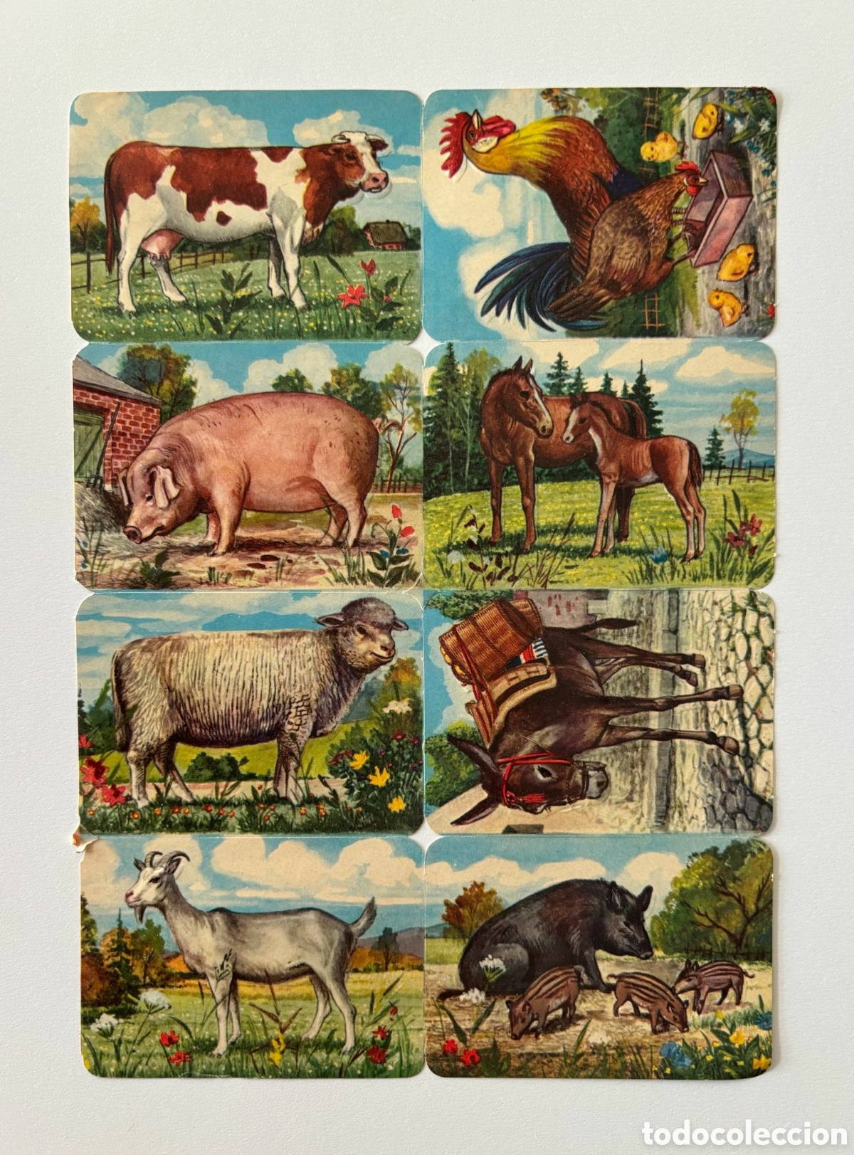 Coleccionismo Cromos troquelados antiguos: L&aacute;mina CROMOS TROQUELADOS alemanes KRUGER 99/9 relieve animales NUEVA colecci&oacute;n antigua infantil