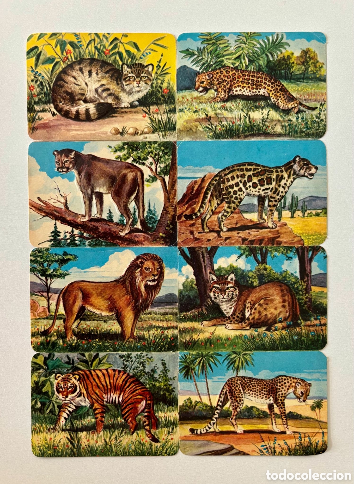 Coleccionismo Cromos troquelados antiguos: L&aacute;mina CROMOS TROQUELADOS alemanes KRUGER 99/6 relieve animales NUEVA colecci&oacute;n antigua infantil