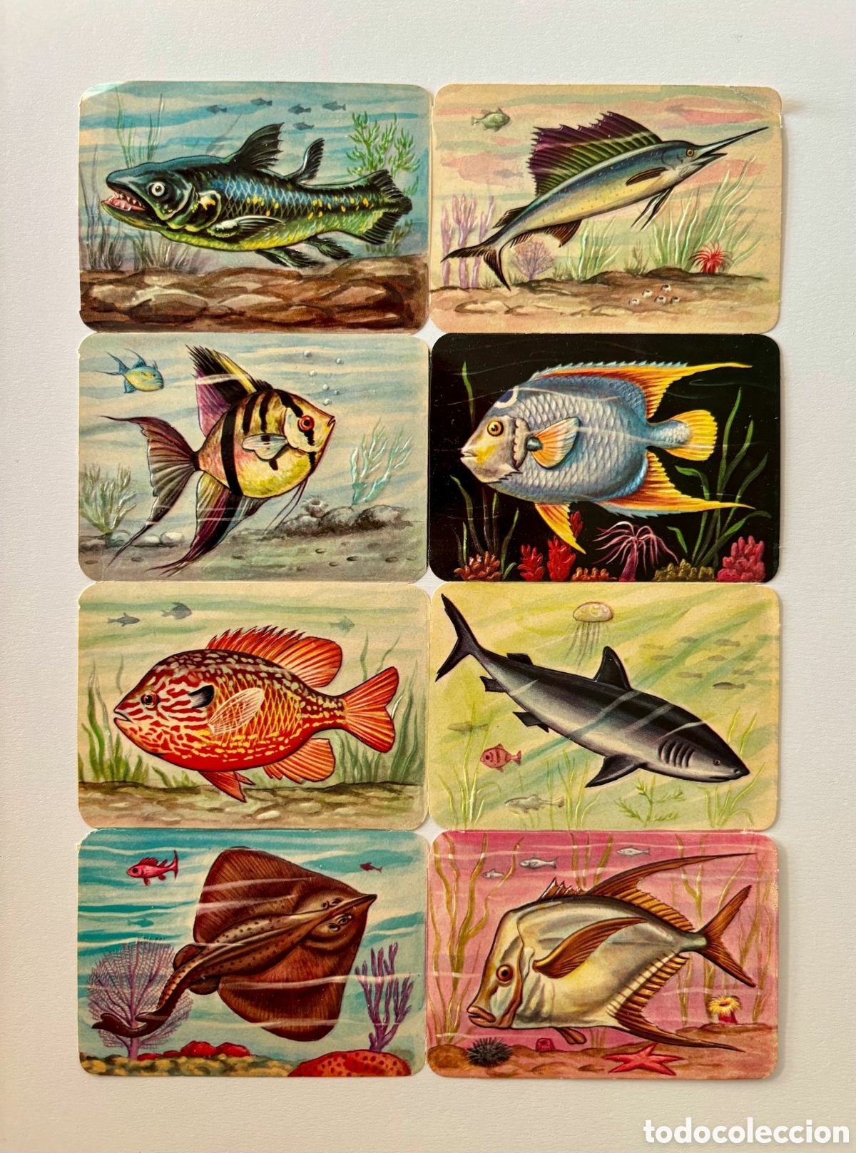 Coleccionismo Cromos troquelados antiguos: L&aacute;mina CROMOS TROQUELADOS alemanes KRUGER 99/8 relieve animales NUEVA colecci&oacute;n antigua infantil