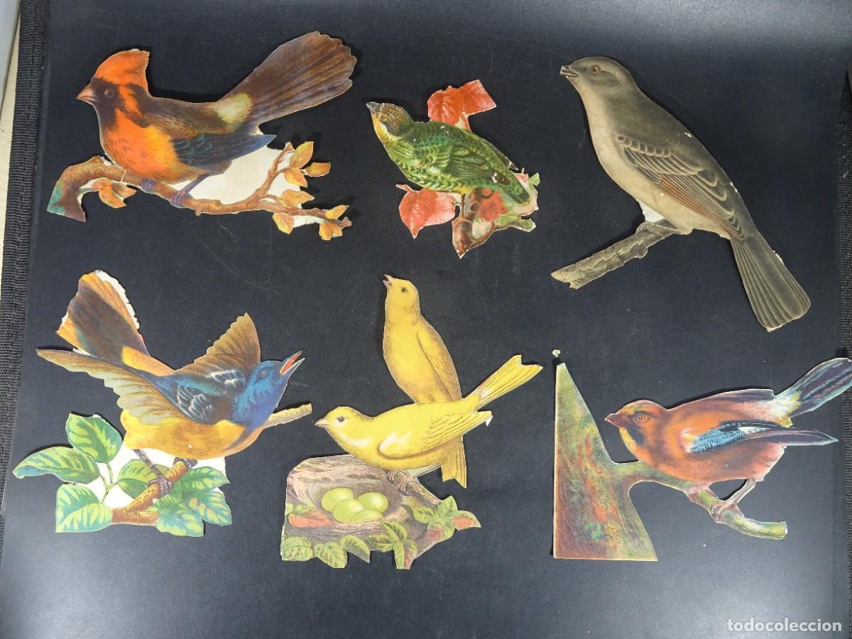 Coleccionismo Cromos troquelados antiguos: LOTE ANTIGUOS CROMOS TROQUELADOS, P&Aacute;JAROS, VER FOTOS
