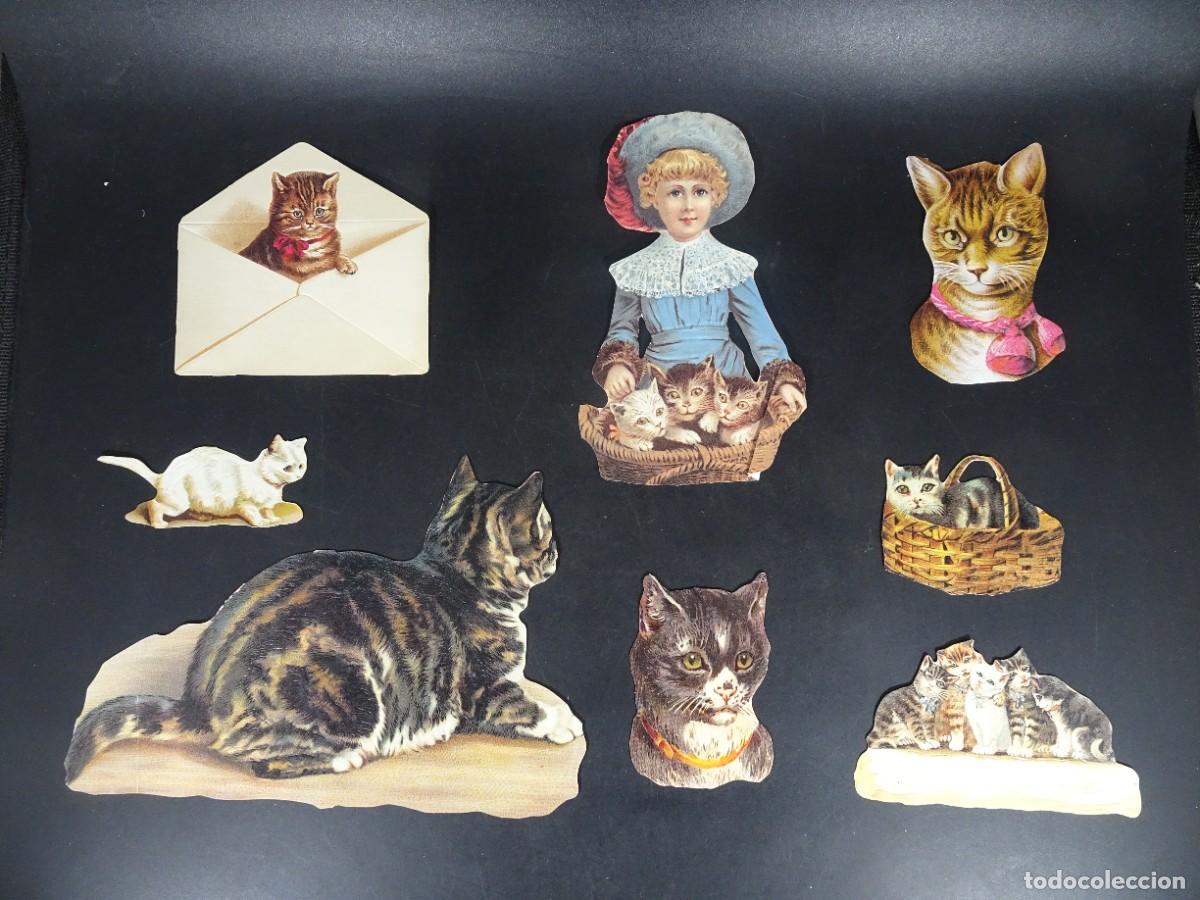 Colecionismo Cromos recortados antigos: LOTE ANTIGUOS CROMOS TROQUELADOS, GATOS, VER FOTOS