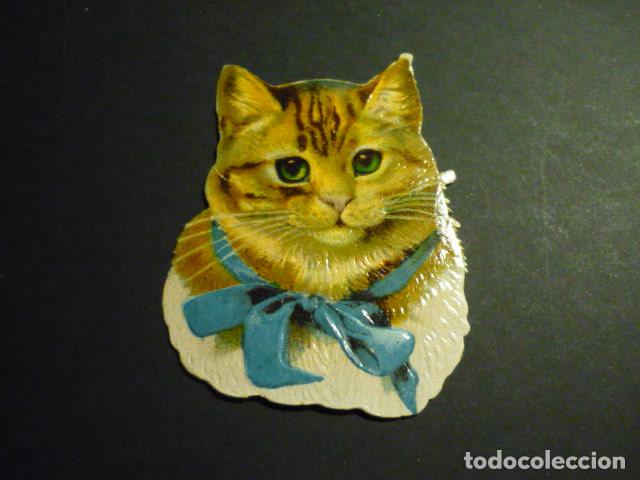 Sammeln alte gestanzte Sammelbilder: GATO CROMO TROQUELADO