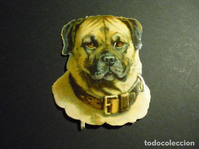 Collectable Antique Stamped Cards: CABEZA DE PERRO CROMO TROQUELADO