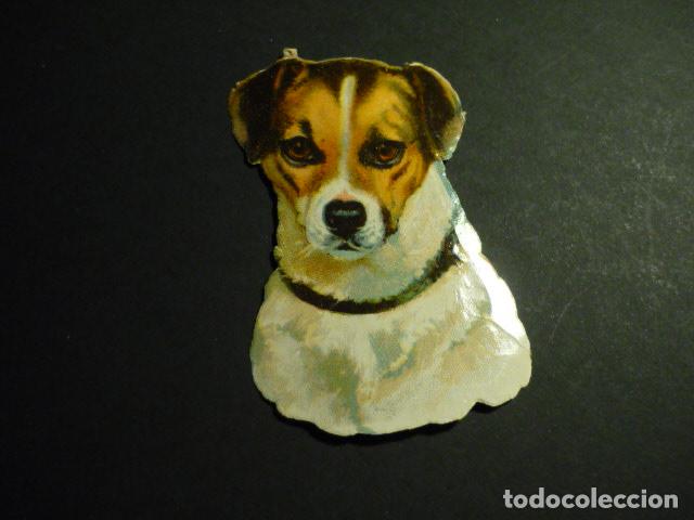 Collectionnisme Cartes &agrave; collectionner massicot&eacute;es anciennes: CABEZA DE PERRO CROMO TROQUELADO