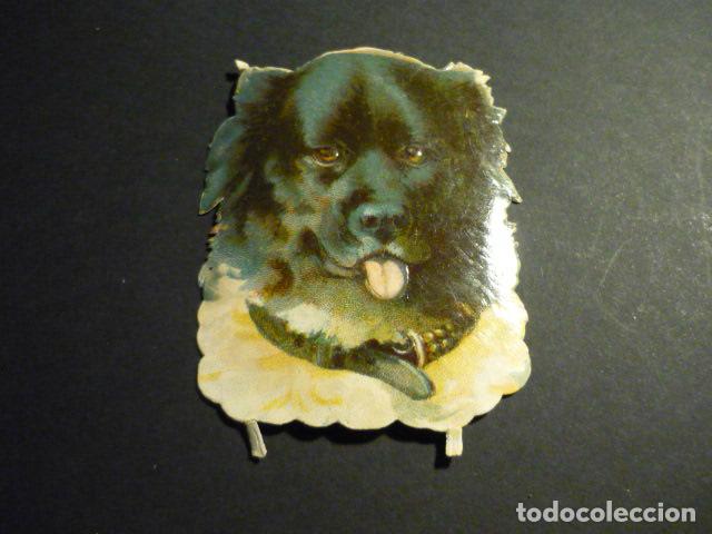 Collectable Antique Stamped Cards: CABEZA DE PERRO CROMO TROQUELADO