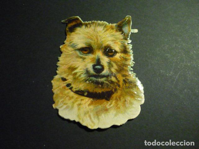 Collectable Antique Stamped Cards: CABEZA DE PERRO CROMO TROQUELADO