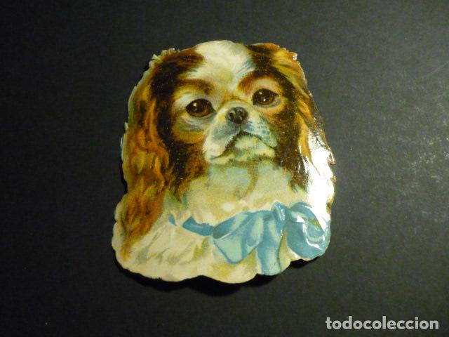 Collectable Antique Stamped Cards: CABEZA DE PERRO CROMO TROQUELADO